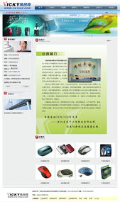 三亞椰浪網絡科技 一站式網站建設與軟件開發服務專家